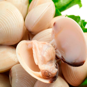 Almeja Juliana 500 grs