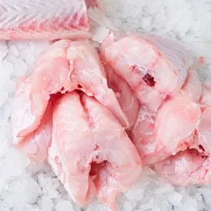 Congrio dorado cabezas