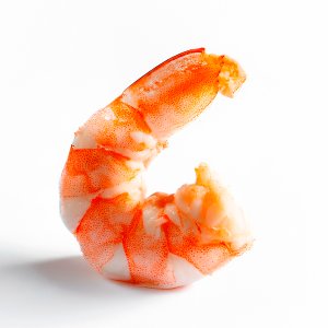 Camarón Vannamei 71-90 PYD crudo