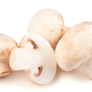 Champiñón 2840 grs