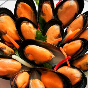 Choritos Extra Premium Block 500 grs