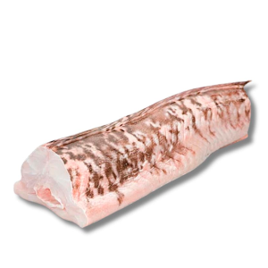 Congrio Hgt 2 800-1200