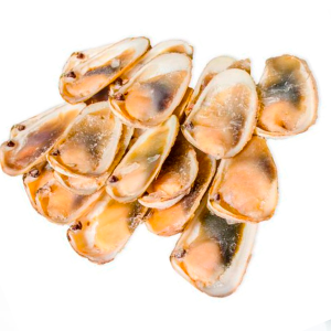 Macha Media Concha Bandeja 12 U