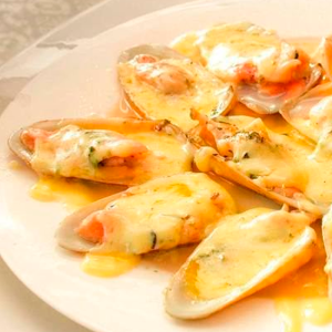 Macha a la Parmesana 12 U