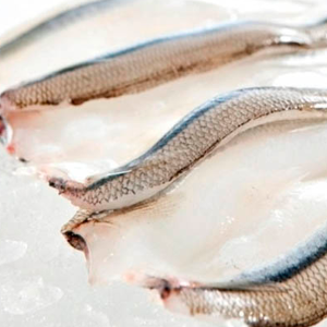 Pejerrey - Filete IVP