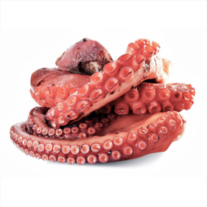 Pulpo del norte entero IQF 1-2